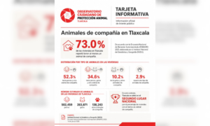 Tlaxcala ocupa el segundo lugar nacional en viviendas con animales de compañía: INEGI.