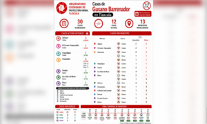 Julio ya es el mes con más nuevos casos de Gusano Barrenador registrados en Tlaxcala.