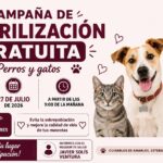 Llega a Ixtenco la campaña gratuita de esterilización canina y felina.
