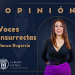 ¿Y si un día nos dijeran que ya no podemos votar?