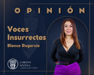 ¿Y si un día nos dijeran que ya no podemos votar?