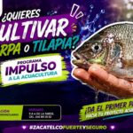 Gobierno de Zacatelco abre registro para acceder a crías de carpa y tilapia a bajo costo.