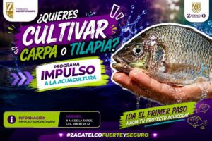 Gobierno de Zacatelco abre registro para acceder a crías de carpa y tilapia a bajo costo.