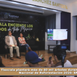 Tlaxcala plantará más de 80 mil árboles durante la Jornada Nacional de Reforestación 2026: SMA.