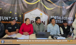 Resultados de la temporada de luciérnagas 2026 🐝✨