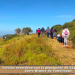 Totolac reverdece con la plantación de 221 árboles en Cerro Blanco de Tepeticpac.