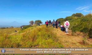 Totolac reverdece con la plantación de 221 árboles en Cerro Blanco de Tepeticpac.