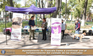 Ayuntamiento de Tlaxcala llama a continuar con el fortalecimiento del cuidado de las mascotas.