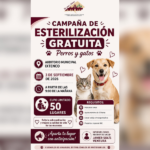 Aline Lazo impulsa campaña gratuita para proteger a perros y gatos.