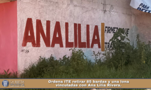 Ordena ITE retirar 85 bardas y una lona vinculadas con Ana Lilia Rivera.