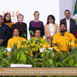 Presidenta Claudia Sheinbaum presenta la Jornada Nacional de Reforestación 2026; se realizará el próximo domingo 9 de agosto y se plantarán 6.6 millones de árboles y plantas.