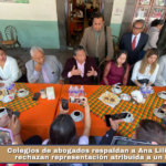 Colegios de abogados respaldan a Ana Lilia Rivera y rechazan representación atribuida a un litigante.