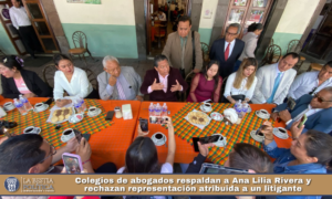 Colegios de abogados respaldan a Ana Lilia Rivera y rechazan representación atribuida a un litigante.