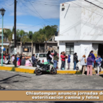 Chiautempan anuncia jornadas de esterilización canina y felina.