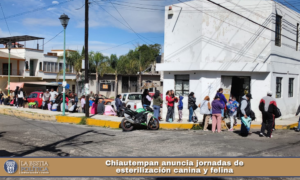 Chiautempan anuncia jornadas de esterilización canina y felina.