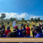 Chiautempan se suma a la Jornada Nacional de Reforestación.