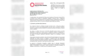 Estado debe contar con una estimación poblacional canina y felina: OCPA.