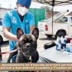 Ayuntamiento de Tlaxcala acercará servicios de salud animal a San Gabriel Cuauhtla y Tizatlán en septiembre.