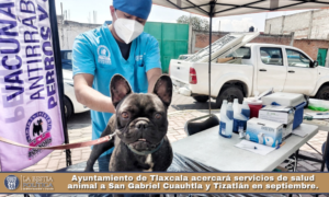 Ayuntamiento de Tlaxcala acercará servicios de salud animal a San Gabriel Cuauhtla y Tizatlán en septiembre.