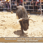 Nopalucada reúne a familias en cierre de feria; reportan un lesionado.