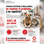OCPA presenta análisis sobre el costo reportado para la «eutanasia» de perros y plantea el debate sobre la prevención.