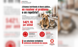 OCPA presenta análisis sobre el costo reportado para la «eutanasia» de perros y plantea el debate sobre la prevención.