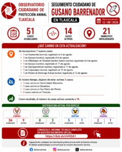 Tlaxcala alcanza 51 casos de gusano barrenador en 21 municipios: los casos activos aumentan a 14
