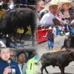 Empresario pide replantear la Huamantlada: “Ninguna derrama económica vale una vida humana.