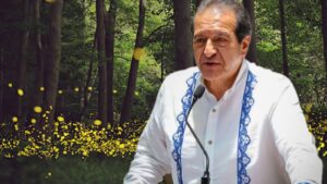 Asistencia a temporada de luciérnagas cayó 16%; Mundial influyó en afluencia: Sectur.