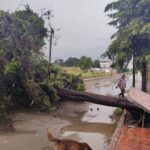 Fuerte lluvia deja árboles caídos y cortes de luz en Tizatlán y Contla.