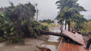 Fuerte lluvia deja árboles caídos y cortes de luz en Tizatlán y Contla.