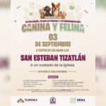 Este miércoles y jueves llegará la campaña de bienestar animal del Ayuntamiento de Tlaxcala a San Gabriel Cuauhtla y Tizatlán.