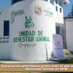 Vacunación antirrábica gratis todo el año en Unidad de Bienestar Animal de SPM.