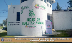 Vacunación antirrábica gratis todo el año en Unidad de Bienestar Animal de SPM.