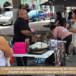 Logra jornada de adopción del Ayuntamiento de Tlaxcala y Fundación Ángeles de Galatea nuevo hogar para 10 perros y dos gatos.