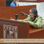 Propone Gabriela Hernández expedir la Ley para el Fomento del Valor Agregado de los Productos del Campo del Estado de Tlaxcala.