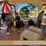 Una adopción puede cambiar mucho: Chiautempan realizó jornada ADOGTAME.