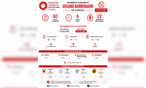 Tlaxcala suma 60 casos de gusano barrenador; activos disminuyen de 14 a 6.