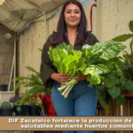 DIF Zacatelco fortalece la producción de alimentos saludables mediante huertos comunitarios.
