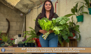 DIF Zacatelco fortalece la producción de alimentos saludables mediante huertos comunitarios.