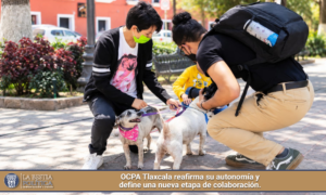 OCPA Tlaxcala reafirma su autonomía y define una nueva etapa de colaboración.