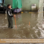 En coordinación atienden autoridades municipales y estatales caída de rama de árbol y anegaciones tras fuerte lluvia en la capital.