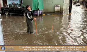 En coordinación atienden autoridades municipales y estatales caída de rama de árbol y anegaciones tras fuerte lluvia en la capital.