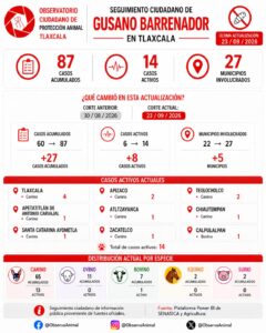 Tlaxcala registra 87 casos acumulados de gusano barrenador.
