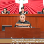 Propone Madai Pérez establecer plazos para agilizar el procedimiento legislativo.