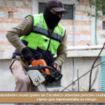 Autoridades municipales de Zacatelco atienden petición ciudadana y retiran pino ciprés que representaba un riesgo.