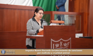 Impulsa Noemi Bocardo fortalecimiento de sanciones por maltrato y crueldad animal.