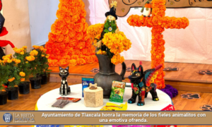 Ayuntamiento de Tlaxcala honra la memoria de los fieles animalitos con una emotiva ofrenda.