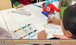 Observar aves es una actividad que estimula el cerebro y favorece la salud mental: investigadora del CTBC-UATx.