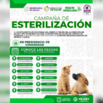 Anuncia Ayuntamiento de SPM campaña de esterilización de perros y gatos en las 12 comunidades.